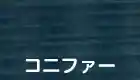 コニファー